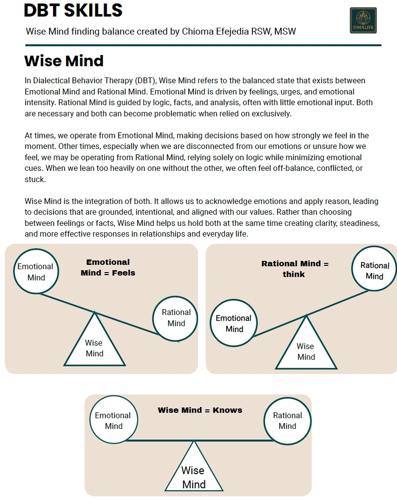 WISE MIND - DBT SKILLS preview