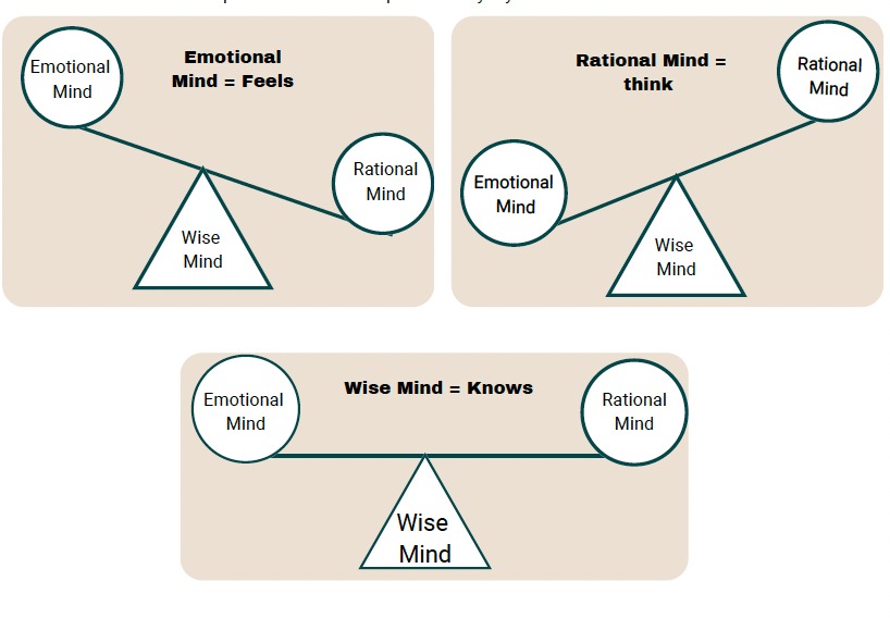 WISE MIND - DBT SKILLS